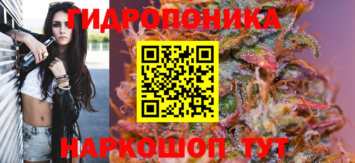 Бошки марихуана конопля Вязники